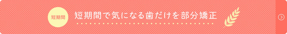 部分矯正へのリンクボタン